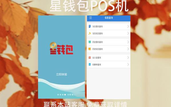 星錢包pos機安全嗎？和銀錢包POS機比哪個好
